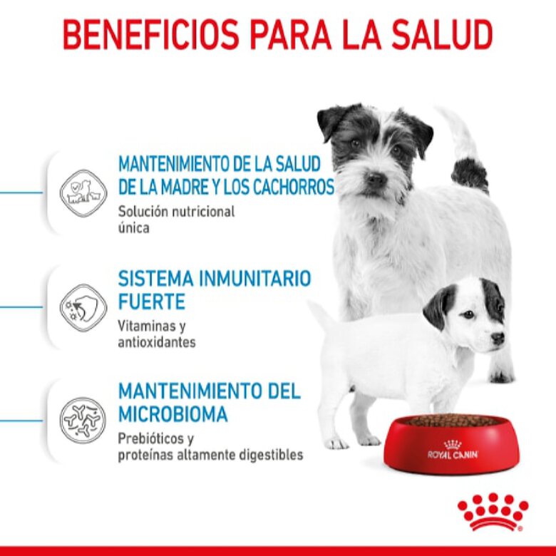 Royal Canin Starter Mother&Baby Mini pienso para perros, , large image number null